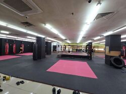 Balestier Point (D12), Shop House #485990591
